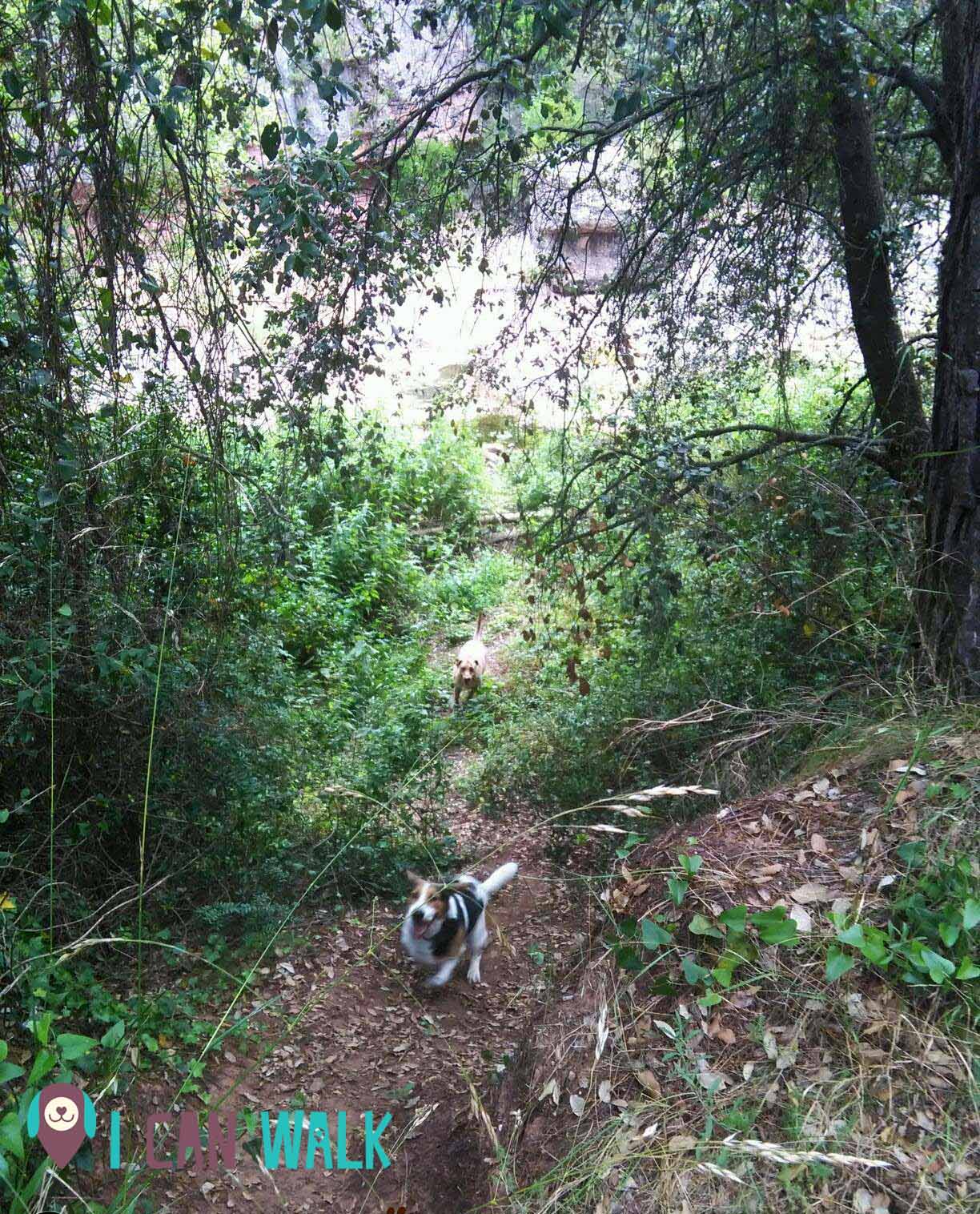 13555556_10210392072344432_877245656_o