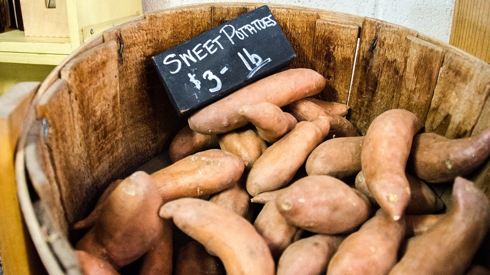 receta galletas boniato para perros