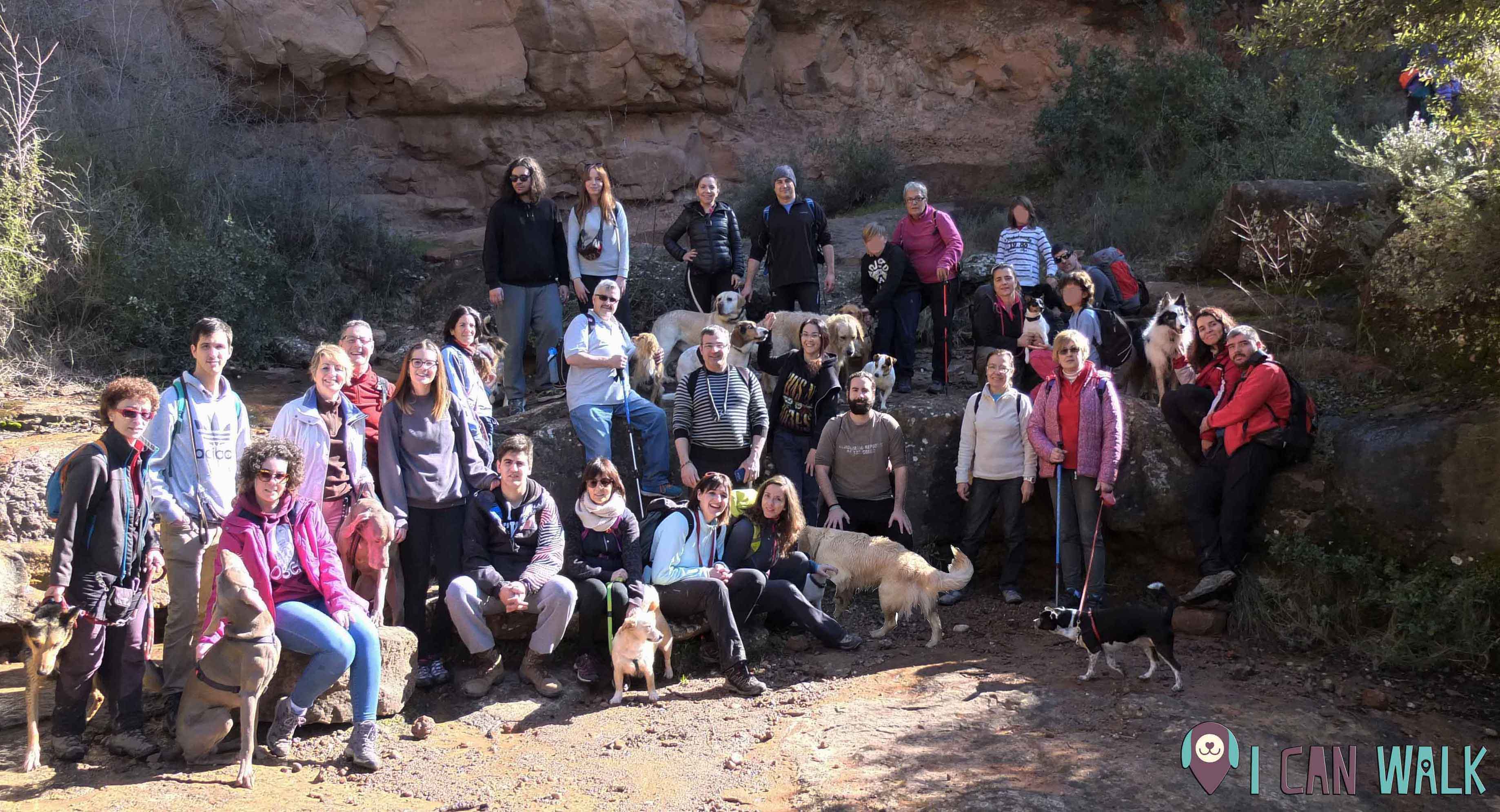 _dsf2495sincara-con-david