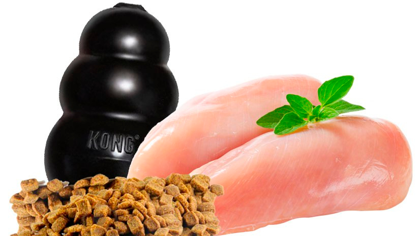 relleno para juguete kong con pollo o pienso