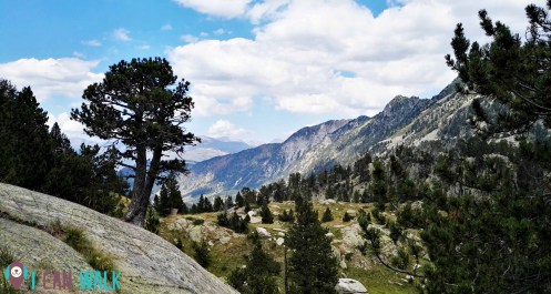 Val d'Aràn con perros