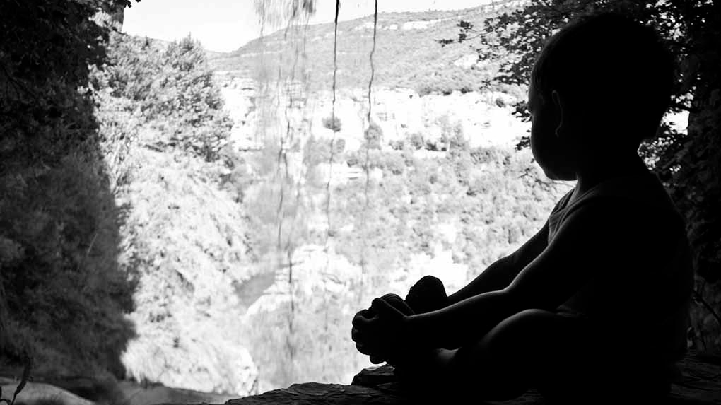 niños senderismo con perros