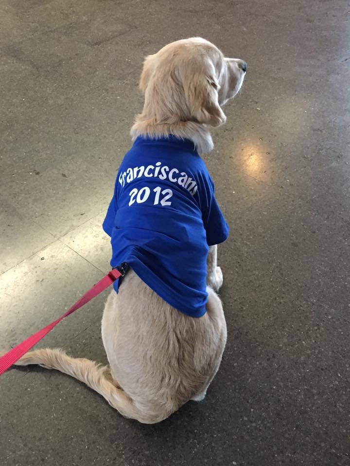 15541413_10210858882604317_54620522416945666_n