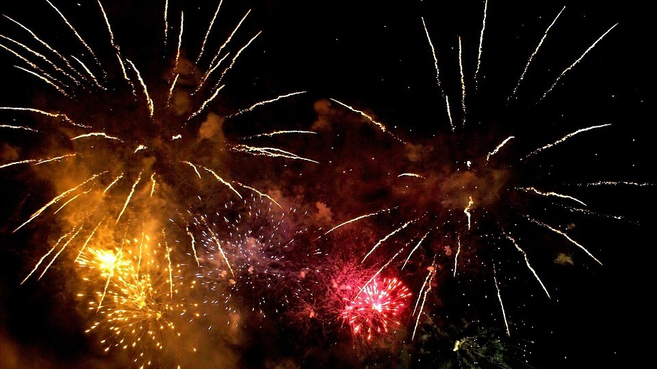 miedo a los petardos en perros