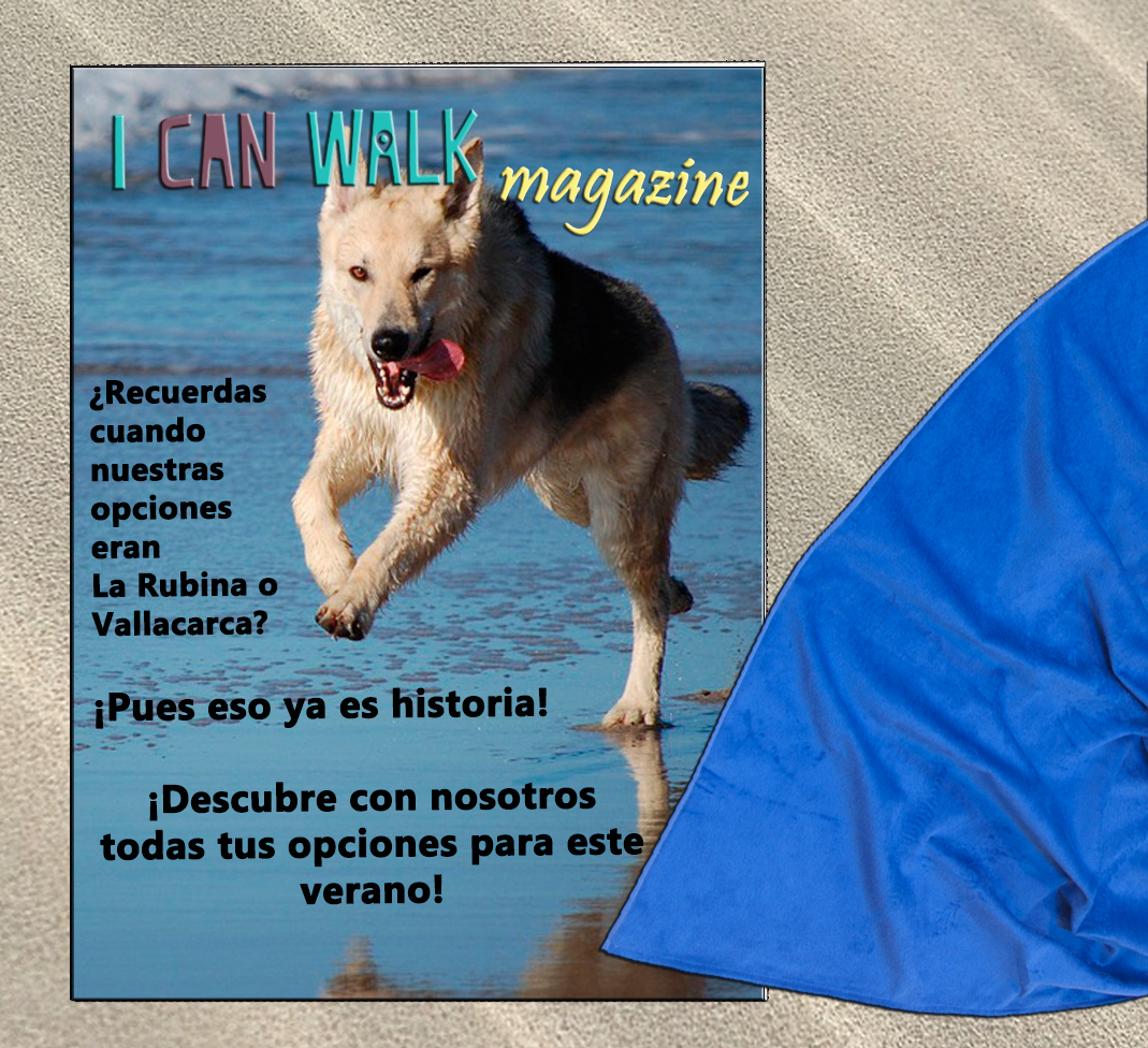 REVISTA Playas