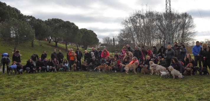 Senderismo y ocio con perros, excursiones caninas en grupo. Sant Quirze del Vallès