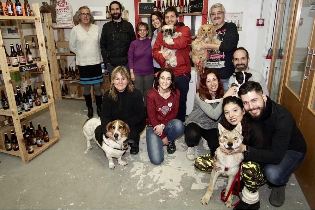 ocio PetFriendly con perros, cata de cerveza