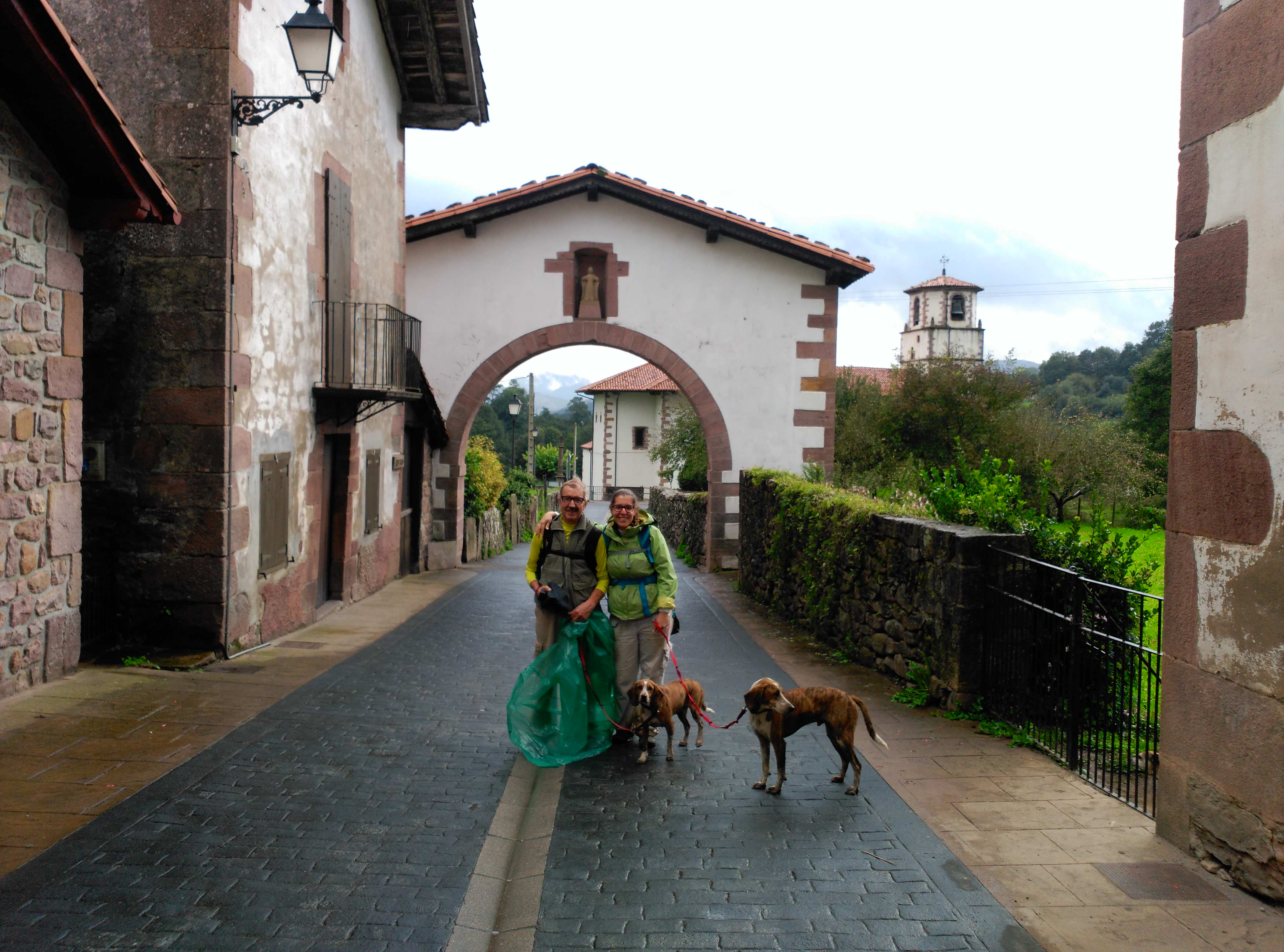 Camino con perros: Segunda etapa después de subir el Puerto de Otsondo en Amaiur Maya