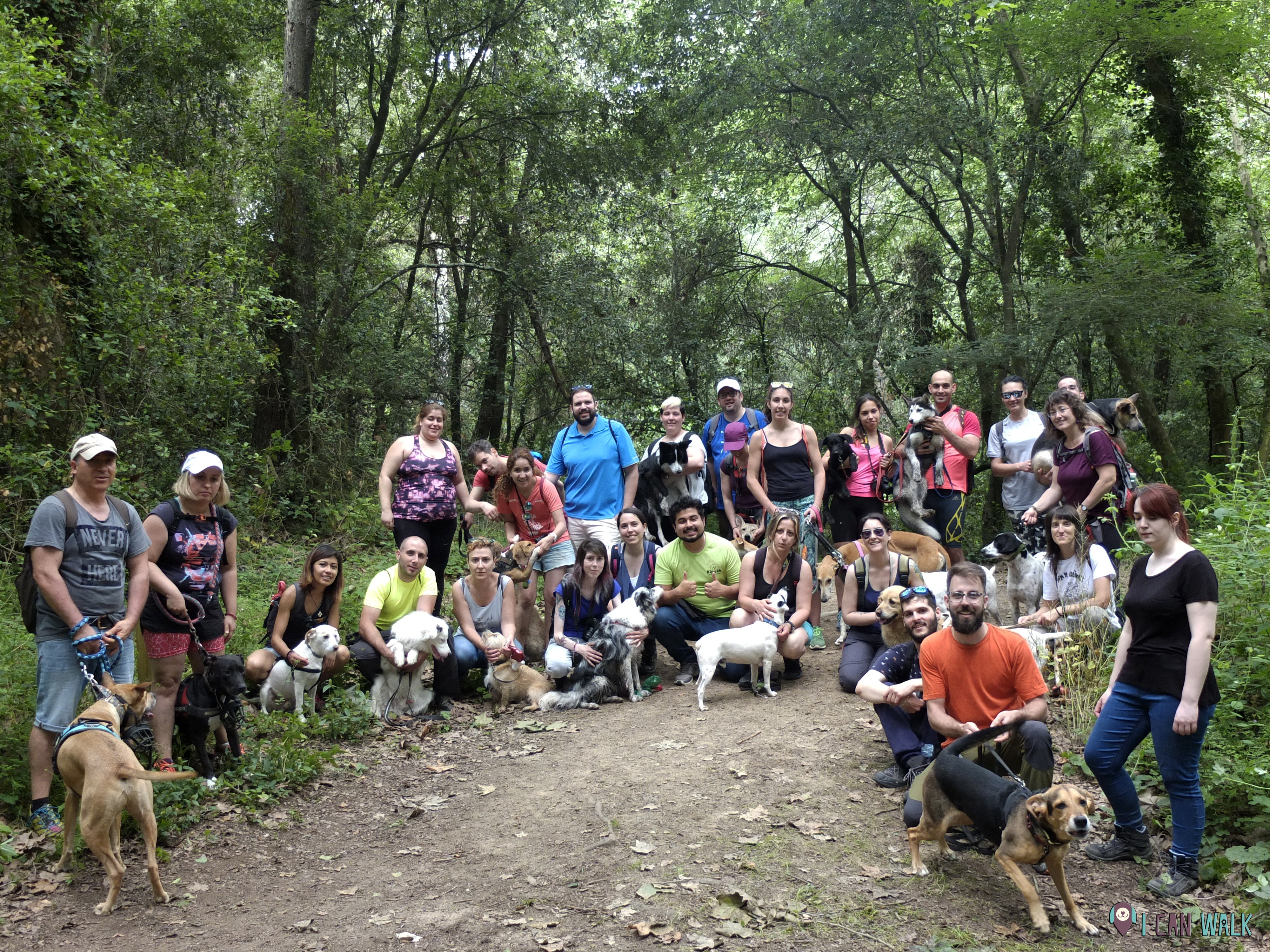 2a Edición: Excursión con Clase de Educación Canina con Kipeek, 17.6.18