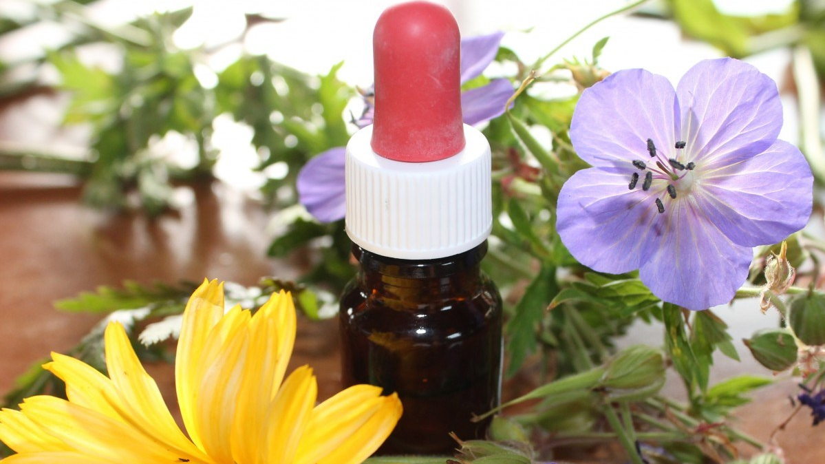 Medicina natural herbal, flores de bach para mascotas
