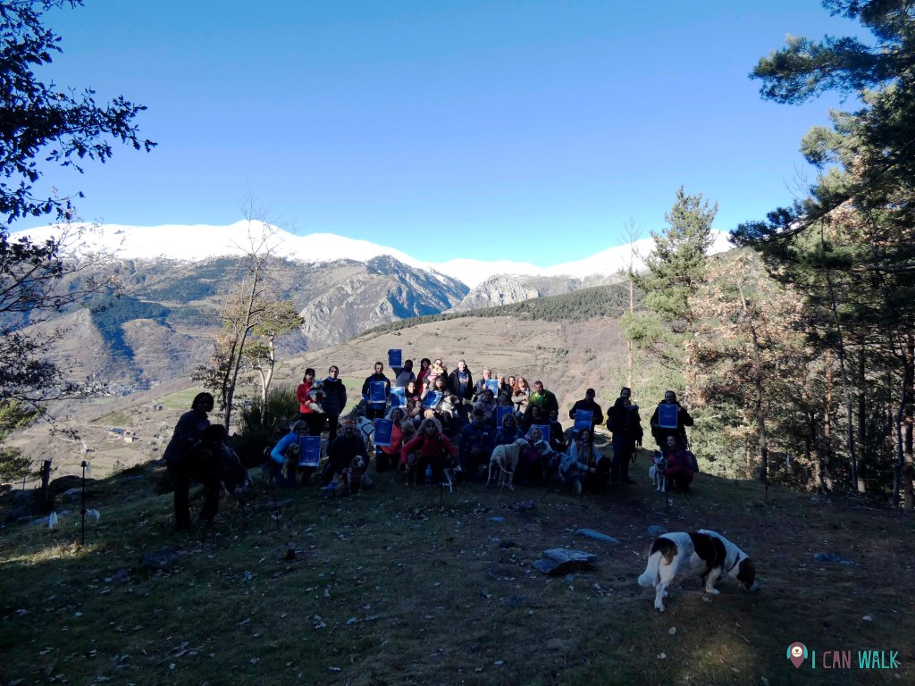 actividad benéfica con perros marató de tv3 