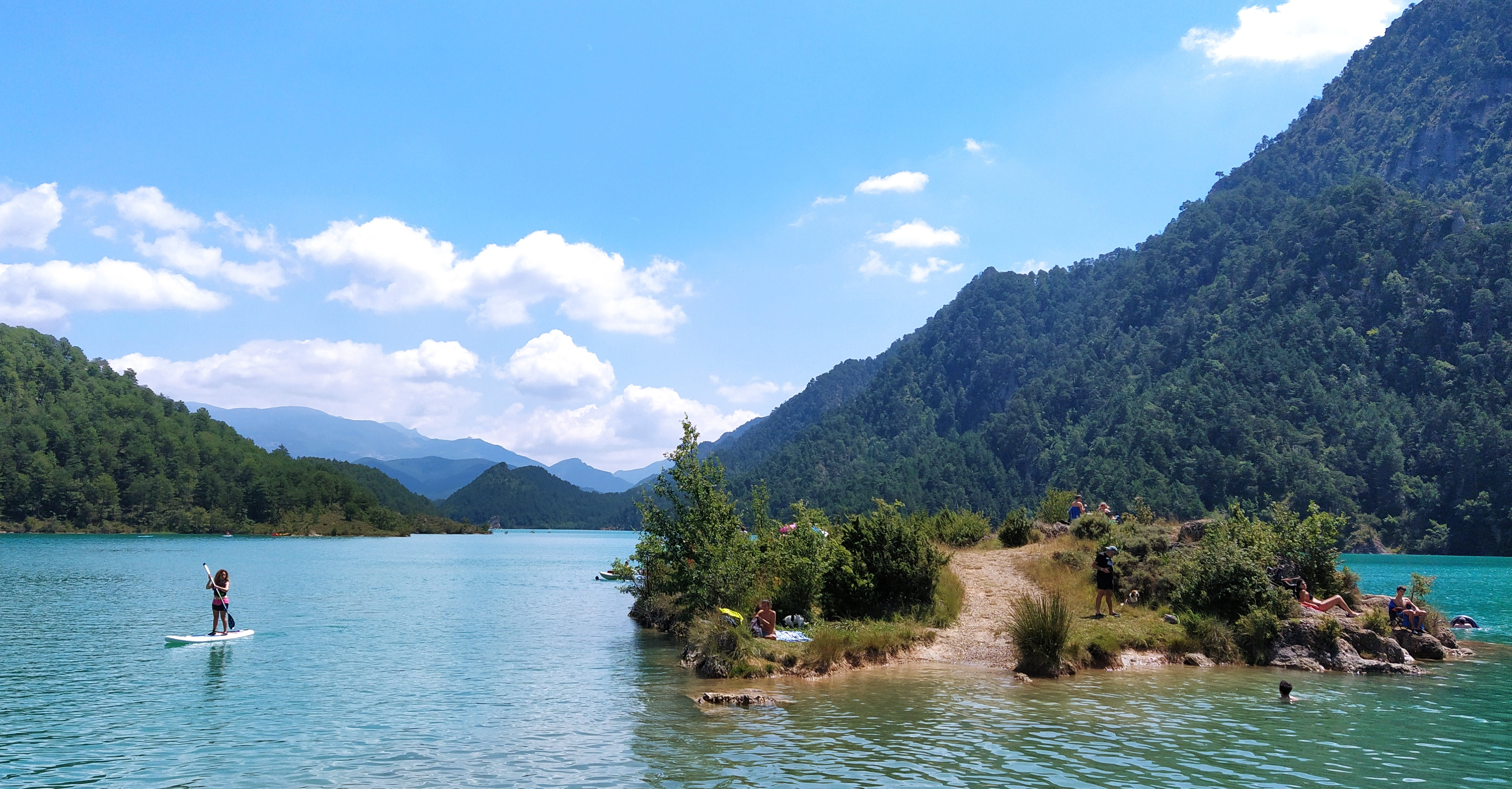 Kayak con perros en grupo
