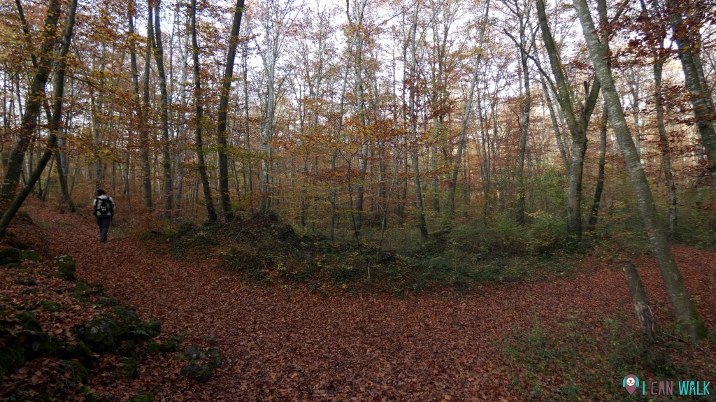 izquierda señal roja