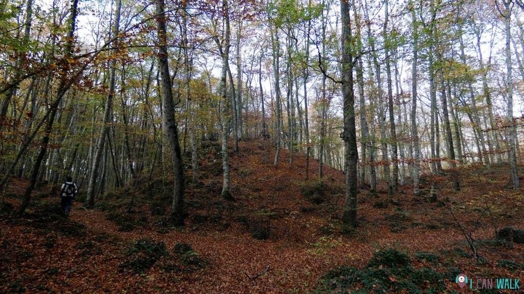 izquierda en la siguiente