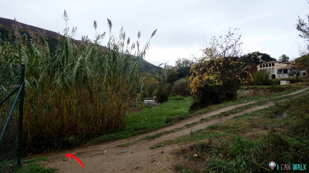 bifurcación, izquierda