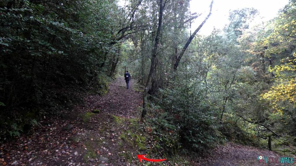 derecha tras la valla